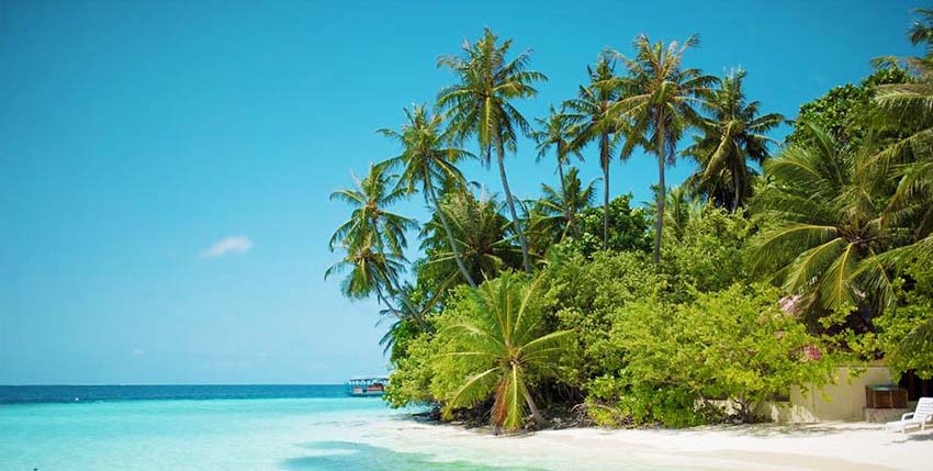 馬爾代夫旅游