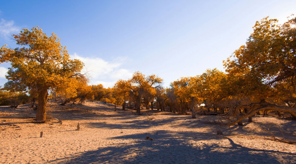 內(nèi)蒙古旅游