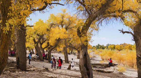 內(nèi)蒙古旅游