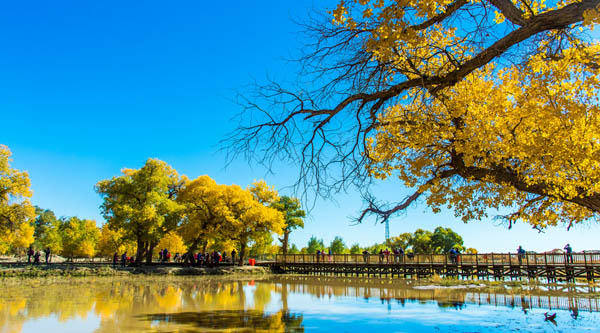 內(nèi)蒙古旅游