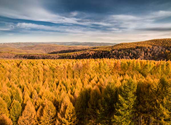 希拉穆仁草原旅游
