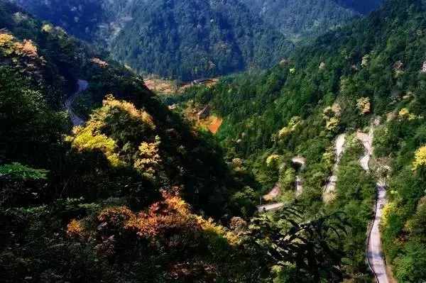 江津洪洞村公路