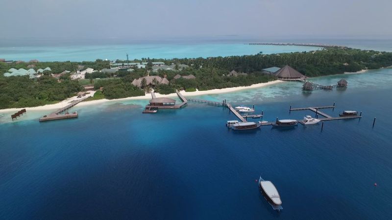 馬爾代夫神仙珊瑚1