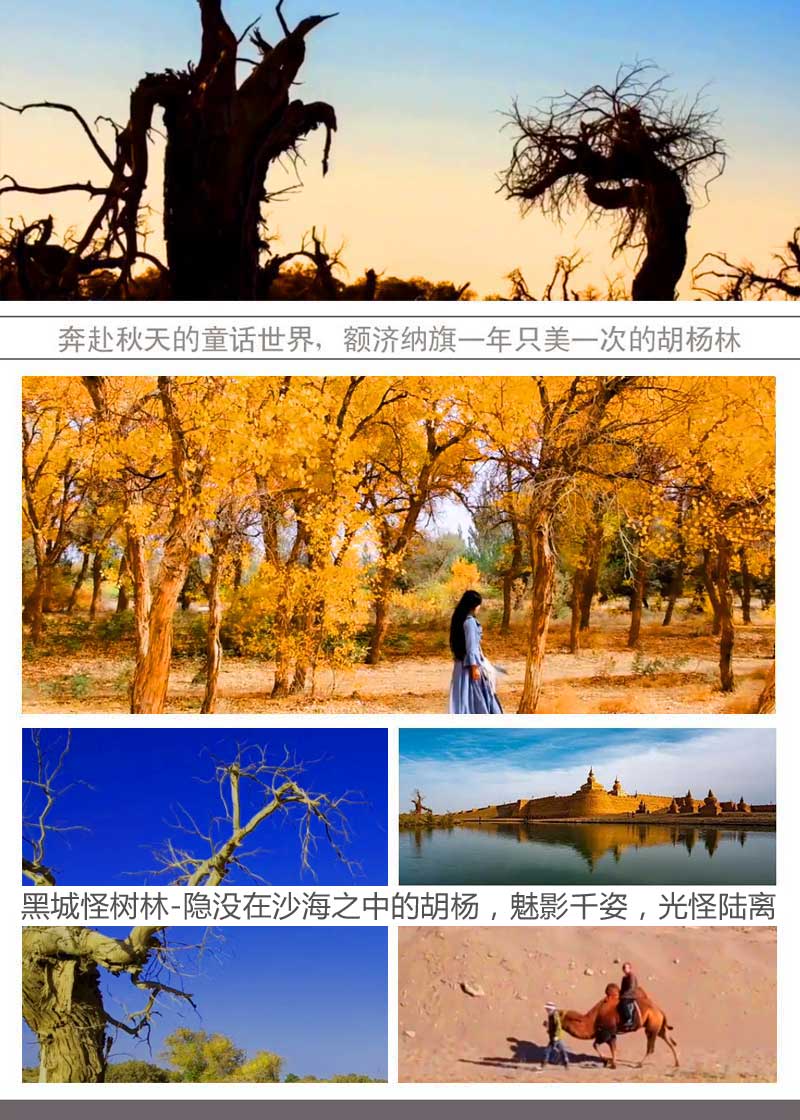 1-8道橋廣告設(shè)計